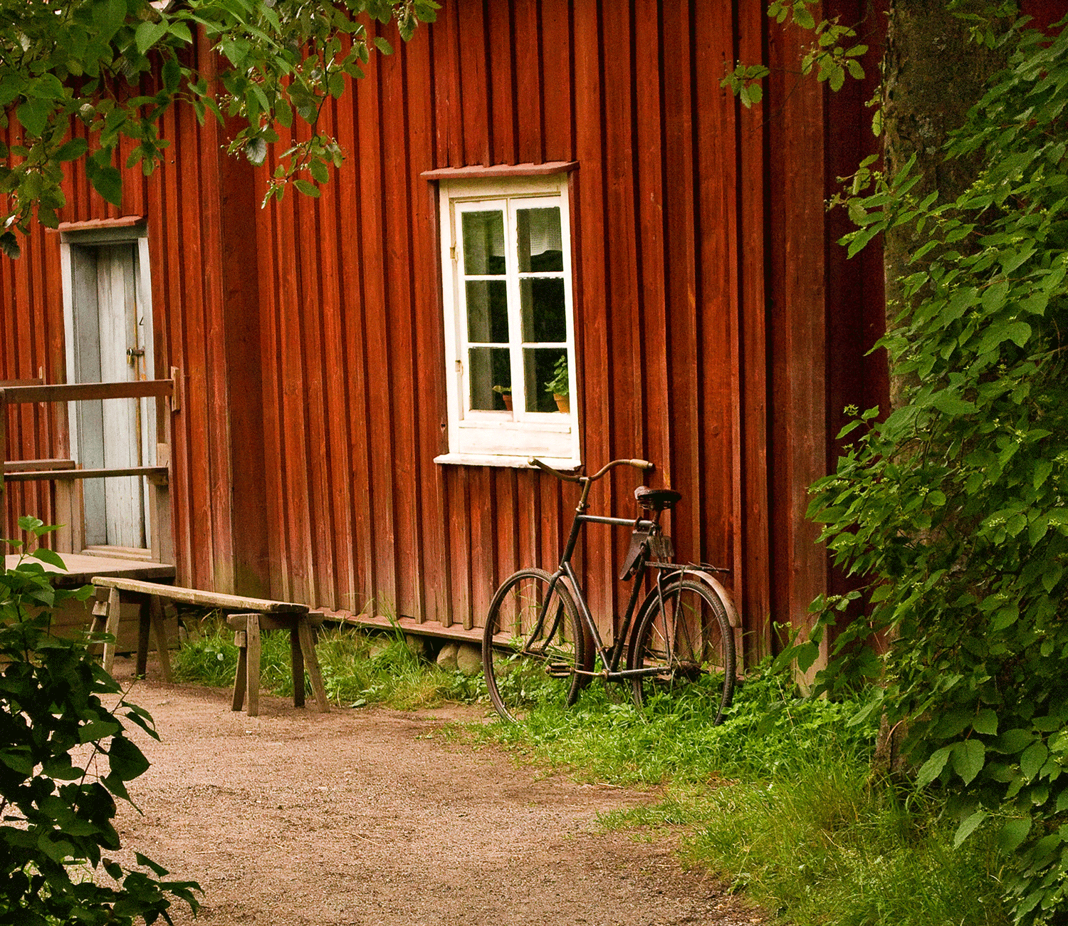 enskilt avlopp