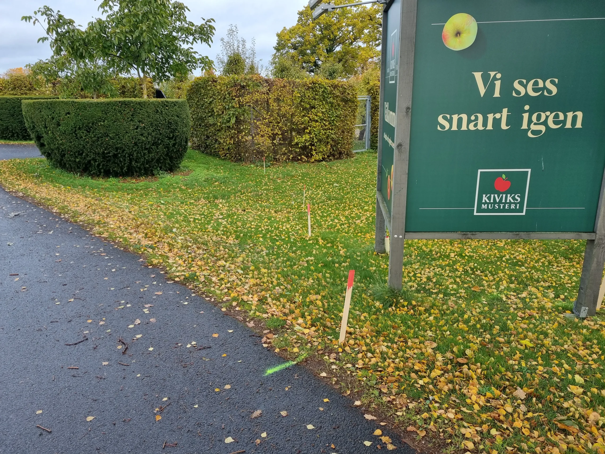 Projekt hos Kiviks Musteri